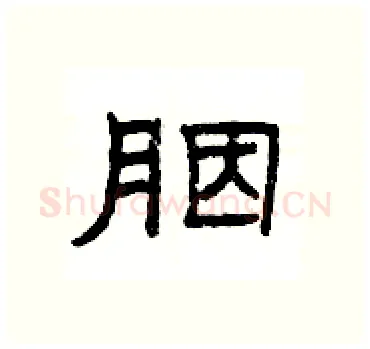 胭硬笔隶书写法,摘自杨为国硬笔书法字帖