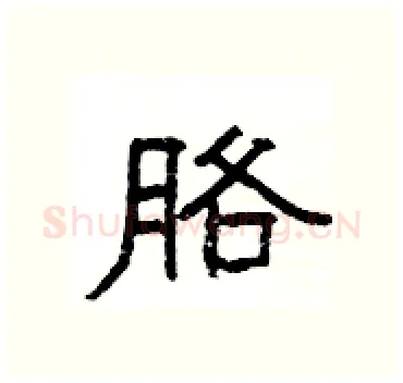 胳硬笔隶书写法,摘自杨为国硬笔书法字帖