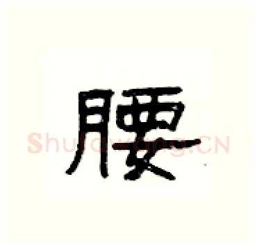 腰硬笔隶书写法,摘自杨为国硬笔书法字帖