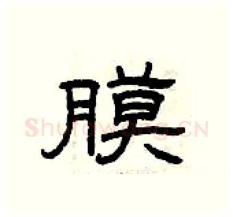 膜硬笔隶书写法,摘自曾庆福硬笔书法字帖