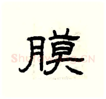 膜硬笔隶书写法,摘自曾庆福硬笔书法字帖