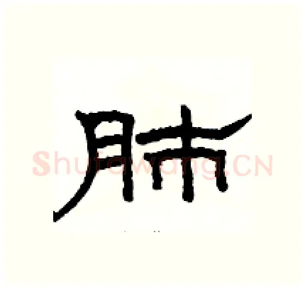 肺硬笔隶书写法,摘自骆恒光硬笔书法字帖