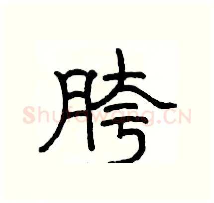 胯硬笔隶书写法,摘自骆恒光硬笔书法字帖