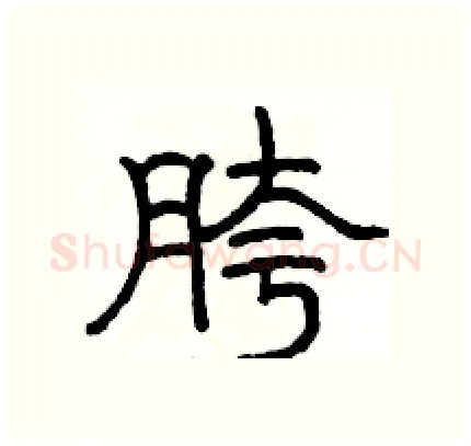 胯硬笔隶书写法,摘自骆恒光硬笔书法字帖