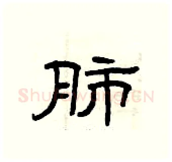 肺硬笔隶书写法,摘自曾庆福硬笔书法字帖