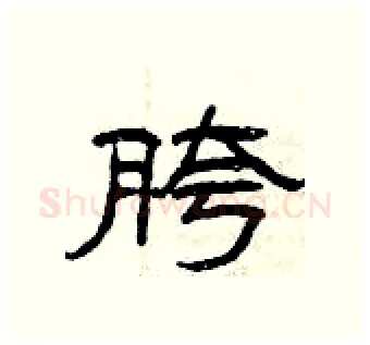 胯硬笔隶书写法,摘自曾庆福硬笔书法字帖
