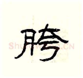 胯硬笔隶书写法,摘自曾庆福硬笔书法字帖