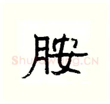 胺硬笔隶书写法,摘自杨为国硬笔书法字帖