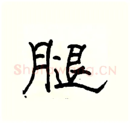 腿硬笔隶书写法,摘自骆恒光硬笔书法字帖