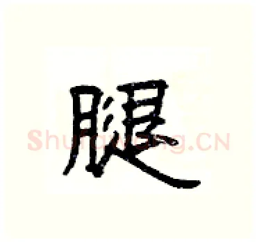 腿硬笔隶书写法,摘自杨为国硬笔书法字帖