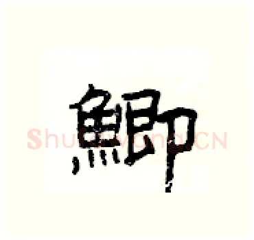 鯽硬笔隶书写法,摘自杨为国硬笔书法字帖