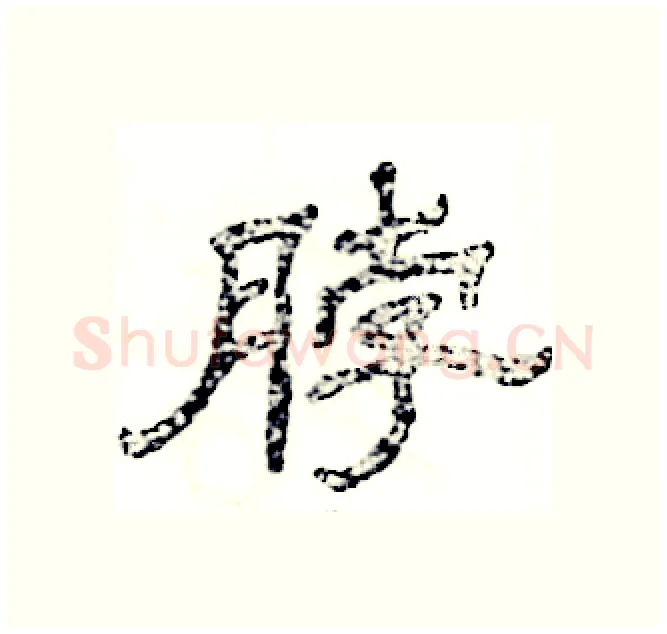 脖硬笔隶书写法,摘自张恒成硬笔书法字帖