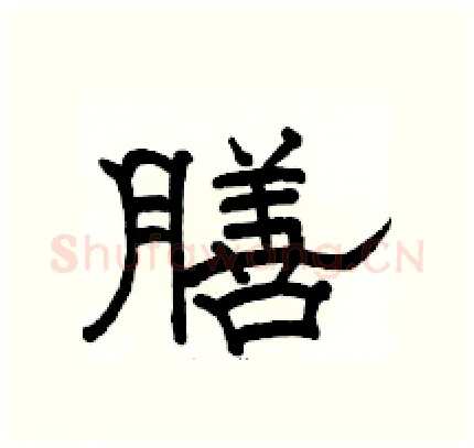 膳硬笔隶书写法,摘自骆恒光硬笔书法字帖