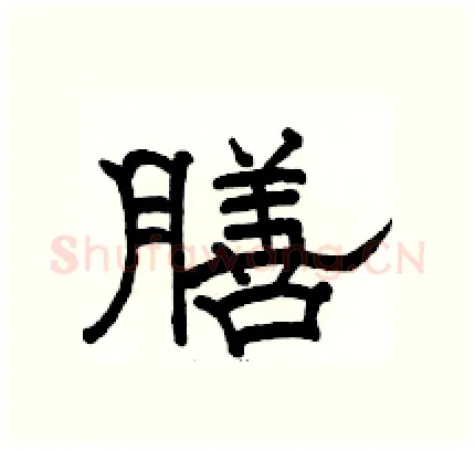 膳硬笔隶书写法,摘自骆恒光硬笔书法字帖