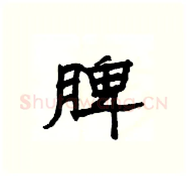 脾硬笔隶书写法,摘自杨为国硬笔书法字帖