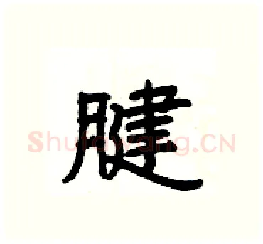 腱硬笔隶书写法,摘自杨为国硬笔书法字帖