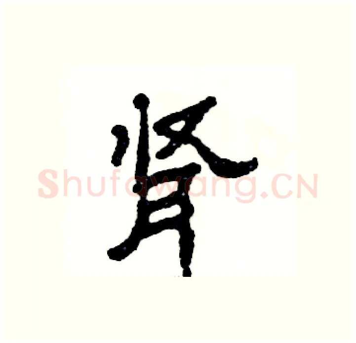 肾硬笔隶书写法,摘自张恒成硬笔书法字帖