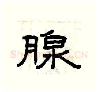 腺硬笔隶书写法,摘自曾庆福硬笔书法字帖