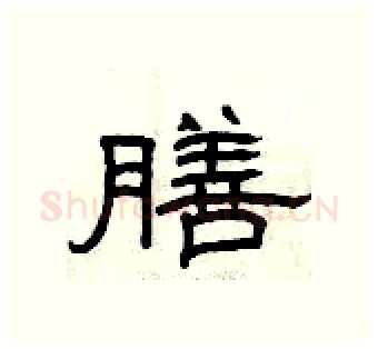 膳硬笔隶书写法,摘自曾庆福硬笔书法字帖