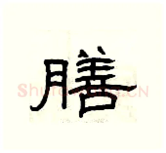 膳硬笔隶书写法,摘自曾庆福硬笔书法字帖