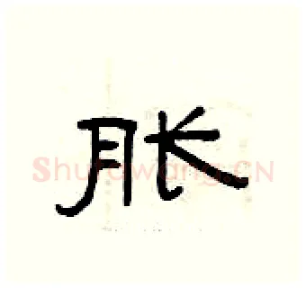 胀硬笔隶书写法,摘自曾庆福硬笔书法字帖