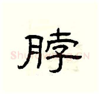 脖硬笔隶书写法,摘自曾庆福硬笔书法字帖