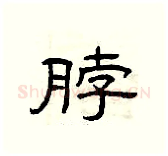 脖硬笔隶书写法,摘自曾庆福硬笔书法字帖