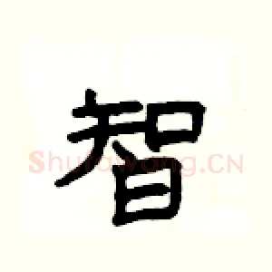 智