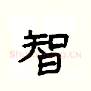 智