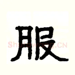 服