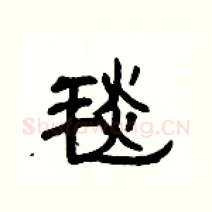 毯