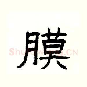 膜