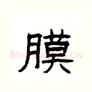 膜
