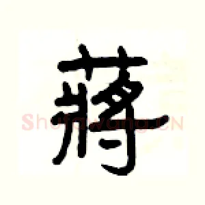 蔣