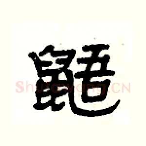 鼯
