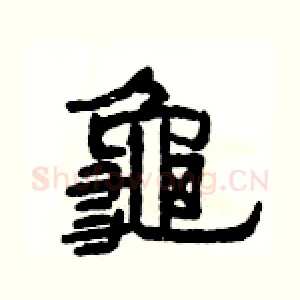 龜