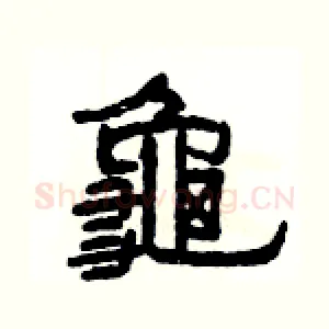 龜