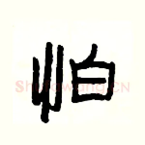 怕