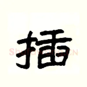 插