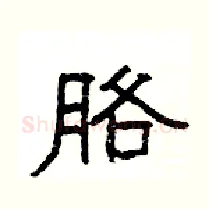 胳