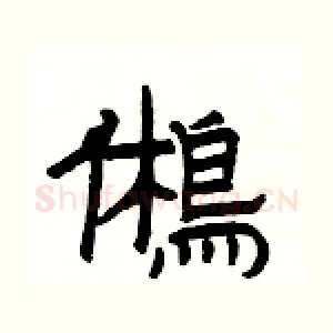 鵂