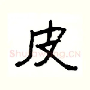 皮