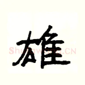 雄