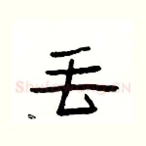 丟