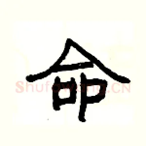 命