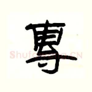 專