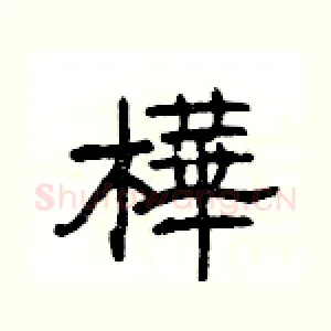 樺