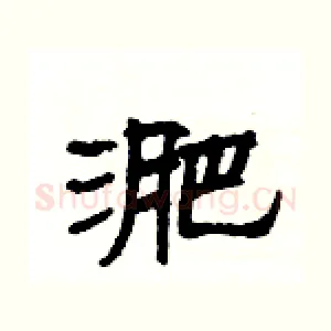 淝