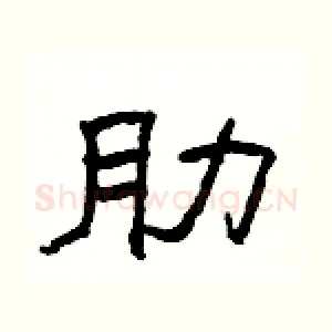 肋