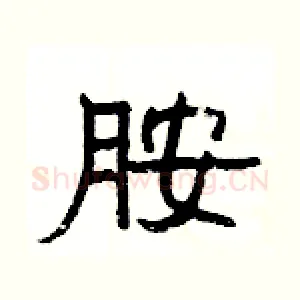 胺